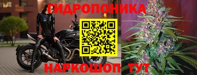 наркотики Славгород